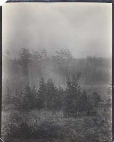 Fire Banff Alberta 1910