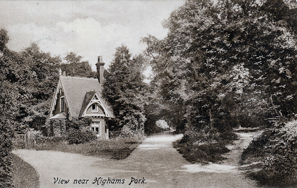 View Near Highams Park