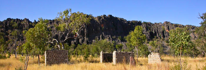 cattle-stations-wa