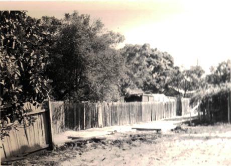 laaneway behind Mann Street houses