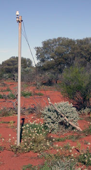 Metal telegraph pole