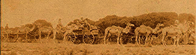 Will's camel team 1918 Will's camel team